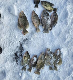 Ice fishing dreams come true!