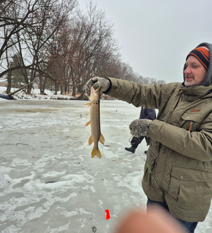 Nice Wisconsin Rapids Northern Pike through the ice!