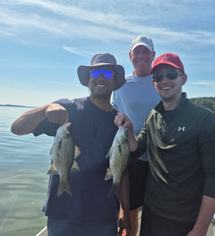 Nice wipers today! Jigging and trolling produced some exciting action with these hybrid striped bass.