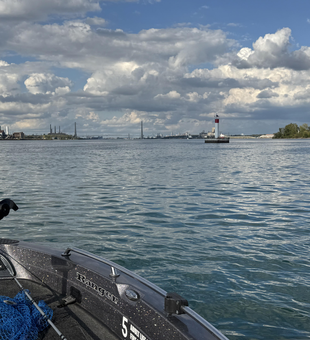 Perfect jigging and trolling conditions with partly cloudy skies turning to afternoon rain.