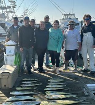 Mahi mahi fishing, Deep sea fishing trip