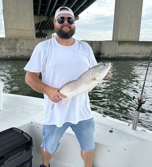 I am smelling meaty dinner tonight! - Orange Beach, FL.