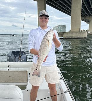 Redfish! Clean Catch! - Orange Beach, FL.