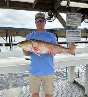You've got to love those reds out of Orange Beach, FL.