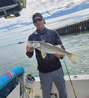 Snook Catch in Sebastian Florida Fishing. Book now