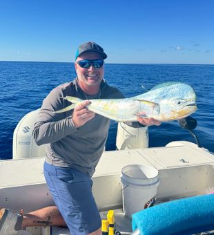 Mahi Mahi Trophy in Sebastian Florida Fishing