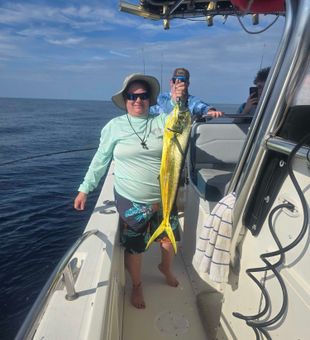 Beautiful mahi mahi caught in Sebastian FL waters!