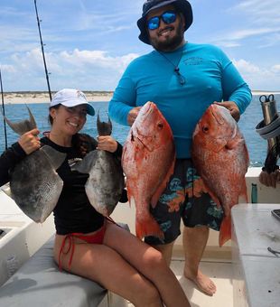 Red snapper and grey triggerfish from Sebastian FL!