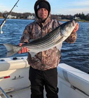 Bundled up with a chunky Striped Bass.
