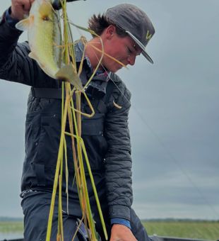 Weed-busting action! Largemouth bass victory