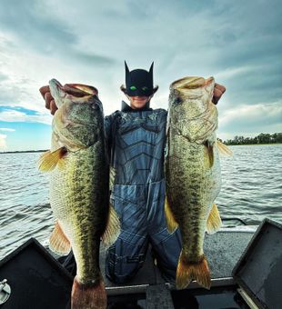 Batman bass power! Giant largemouth bass action