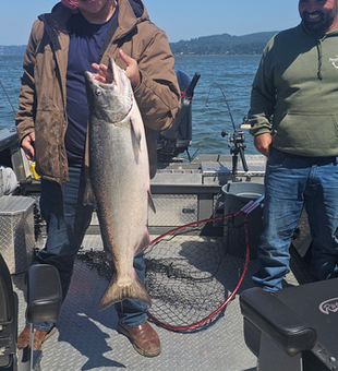 Nice Chinook salmon from Coos Bay! Weather cleared up perfectly for this catch.