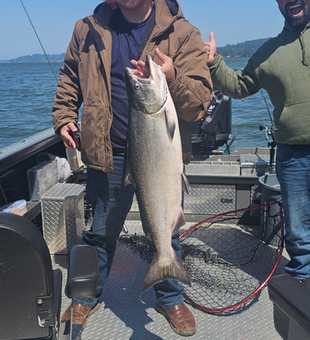 Nice Chinook salmon from Coos Bay! Clearing afternoon made for perfect fishing conditions.