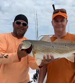 Inshore fishing in the Gulf Coast