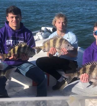 Reel Sheepshead with your friends in Gulf Coast