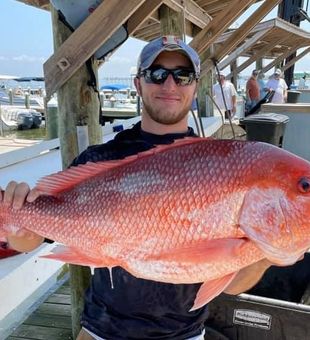 Red Snapper fishing in the Gulf Coast