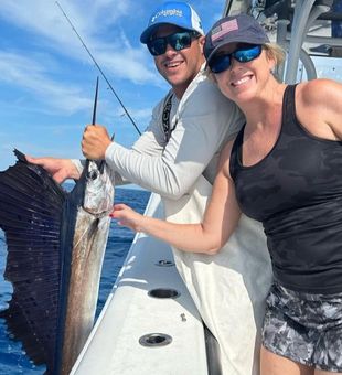 Prized sailfish reeled in Marathon, FL