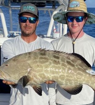 Marathon FL majestic grouper captured. 