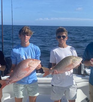Snapper abundance in Marathon, FL