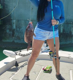 Confident with mangrove snapper.