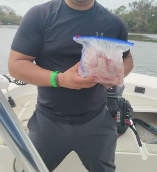 Proud with fresh fillets – cleaned and ready!