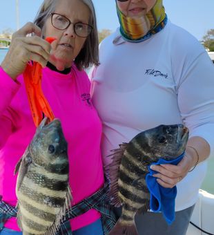 Proud with sheepshead – double striped success!