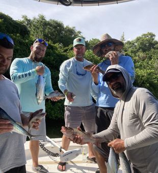 Everyone has their own catch! - St. Petersburg, FL.