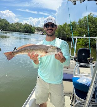 Bay breezes and bent rods