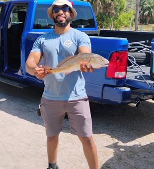 Inshore fishing adventures start in Tampa Bay—book your trip today.
