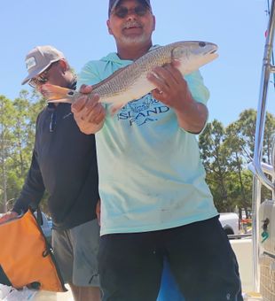 Chasing redfish, snook, and more in the productive waters of Tampa Bay.