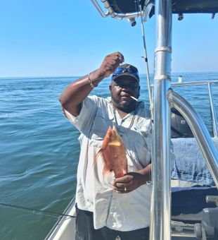 Bay breezes and bent rods