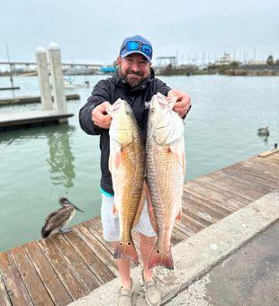 Redfish Delights In Rockport, TX