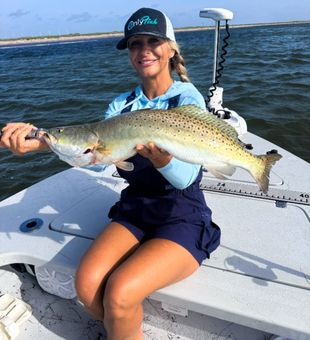 Beautiful speckled trout from Corpus Christi waters!