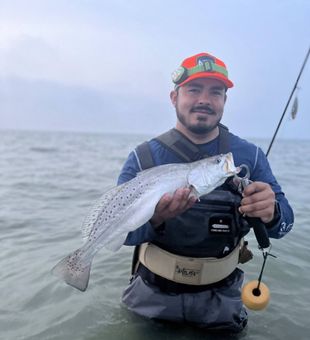 Got em Trout! -Agua Dulce, TX.