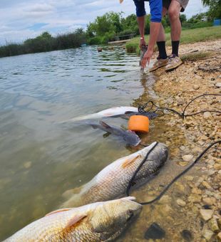 San Antonio redfish making for an epic day!