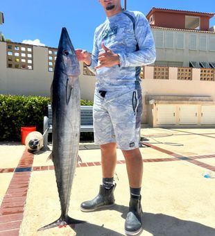 Experience the excitement of deep-water fishing with a Palmas del Mar offshore charter tailored to your group's fishing goals.
