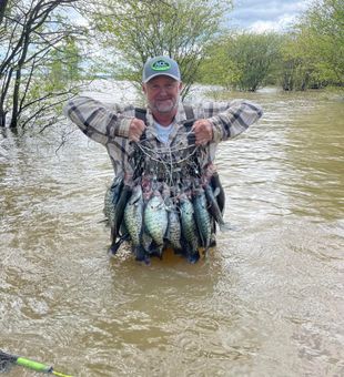 Crappie stack from this morning!