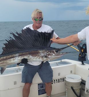 Epic Sailfish catch on a strong offshore bite!