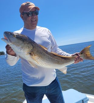 Large Redfish in Santa Rosa Beach, FL