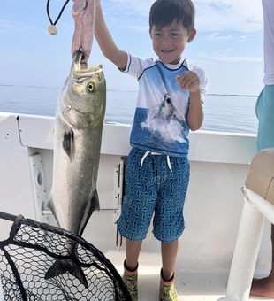 Deep sea jigging pays off with a bluefish catch!