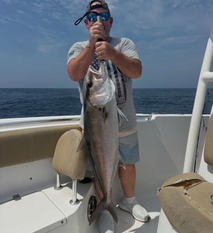 Powerful Amberjack Catch