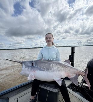 Paddlefish Action Grove Oklahoma