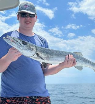 Great Barracuda Angling Action | Pensacola Fishing