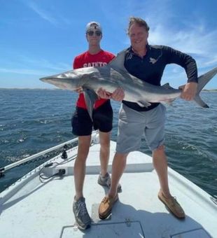 Adrenaline-Pumping Shark Angling