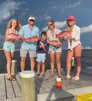 Family Caught Red Snappers : Pensacola Fishing!