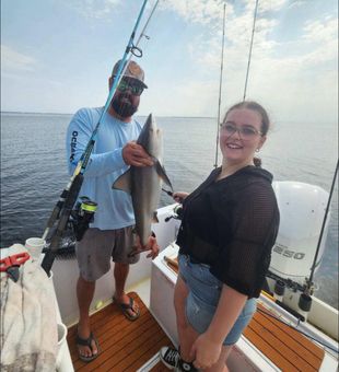 Sharks from the outer banks