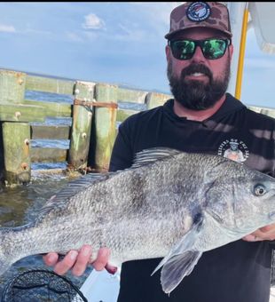 Outer Banks  Drum in the surf