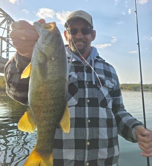 Another smallmouth by Tom on a football jig