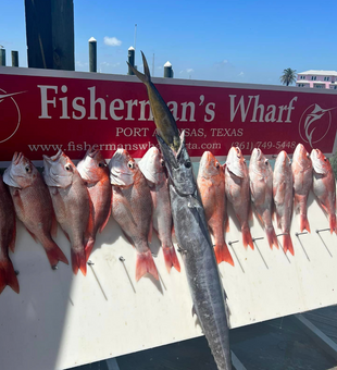 Snapper And Wahoo Fishing Texas