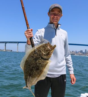 Bay Fishing Flounder in California